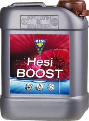 Hesi Boost