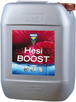 Hesi Boost