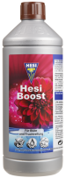 Hesi Boost