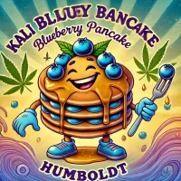 Kali Blueberry Pancake