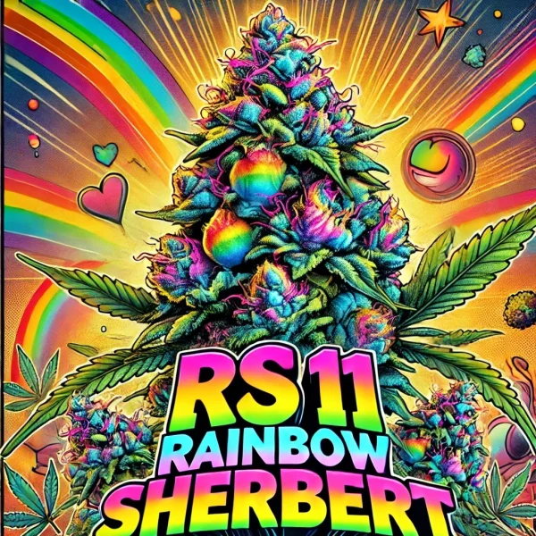 RS11 Rainbow Sherbert