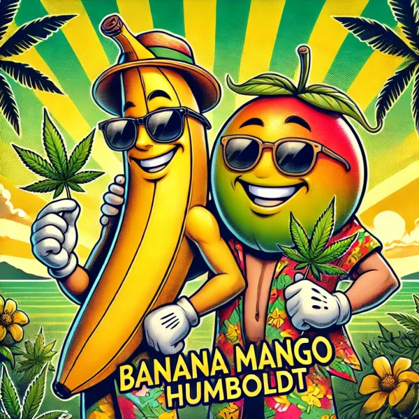 Banana Mango  Humboldt Seeds