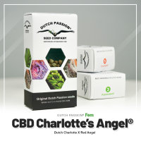 CBD Charlotte’s Angel ®