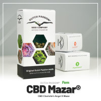 CBD Mazar