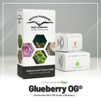 Glueberry O.G. ®