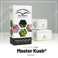 Master Kush