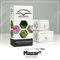 Mazar ®