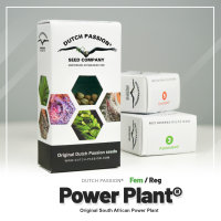 Power Plant ®