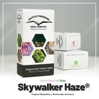 Skywalker Haze