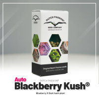 Auto Blackberry Kush ®