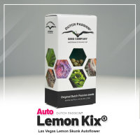 Auto Lemon Kix ®