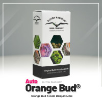 Auto Orange Bud ®