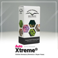 Auto Xtreme Haze ®