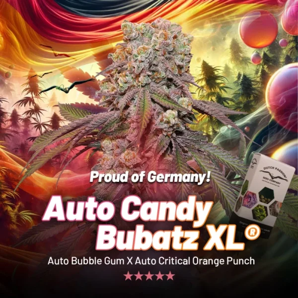 Auto Candy Bubatz XL