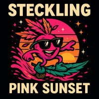 Pink Sunset  Sherbinskis