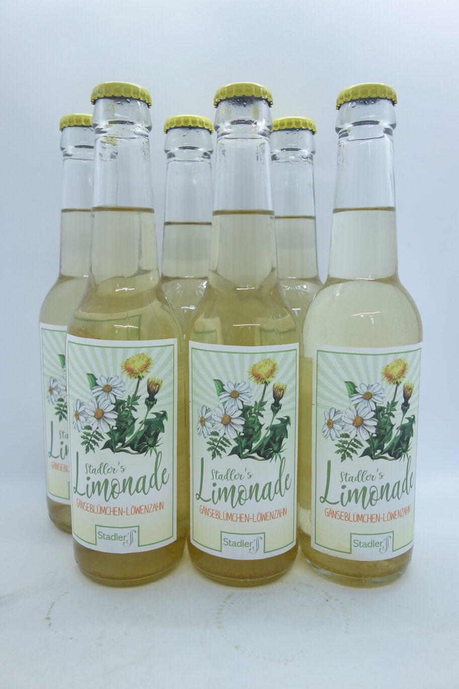 6 0,33l Flaschen der Bio-Limonade Gänseblümchen-Löwenzahn