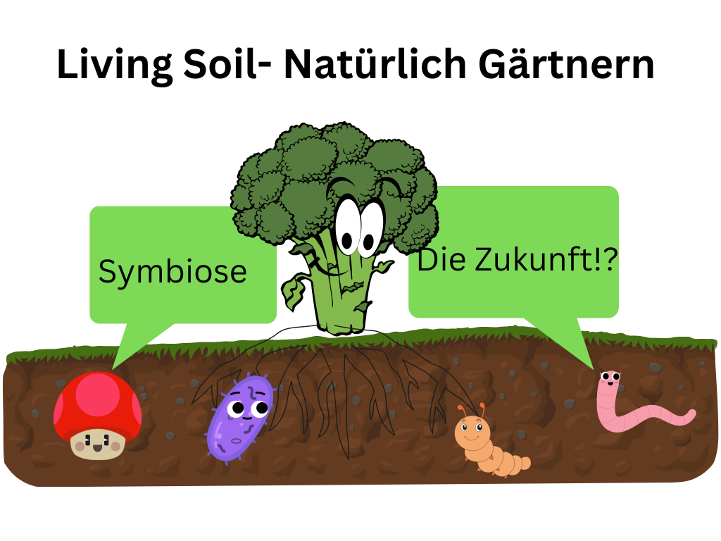 Living Soil dargestellt mit den verschiedenen Komponenten als Grafik