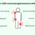 Kann CBD entzündungshemmend wirken (1)